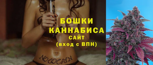 ПСИЛОЦИБИНОВЫЕ ГРИБЫ Валдай
