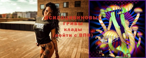 mdma Новозыбков