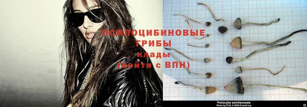 ПСИЛОЦИБИНОВЫЕ ГРИБЫ Ветлуга